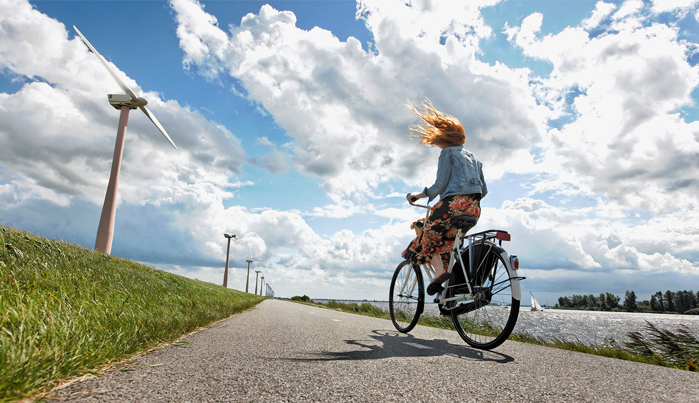 Holland discount ladies bike